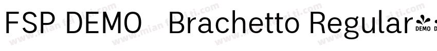 FSP DEMO   Brachetto Regular字体转换